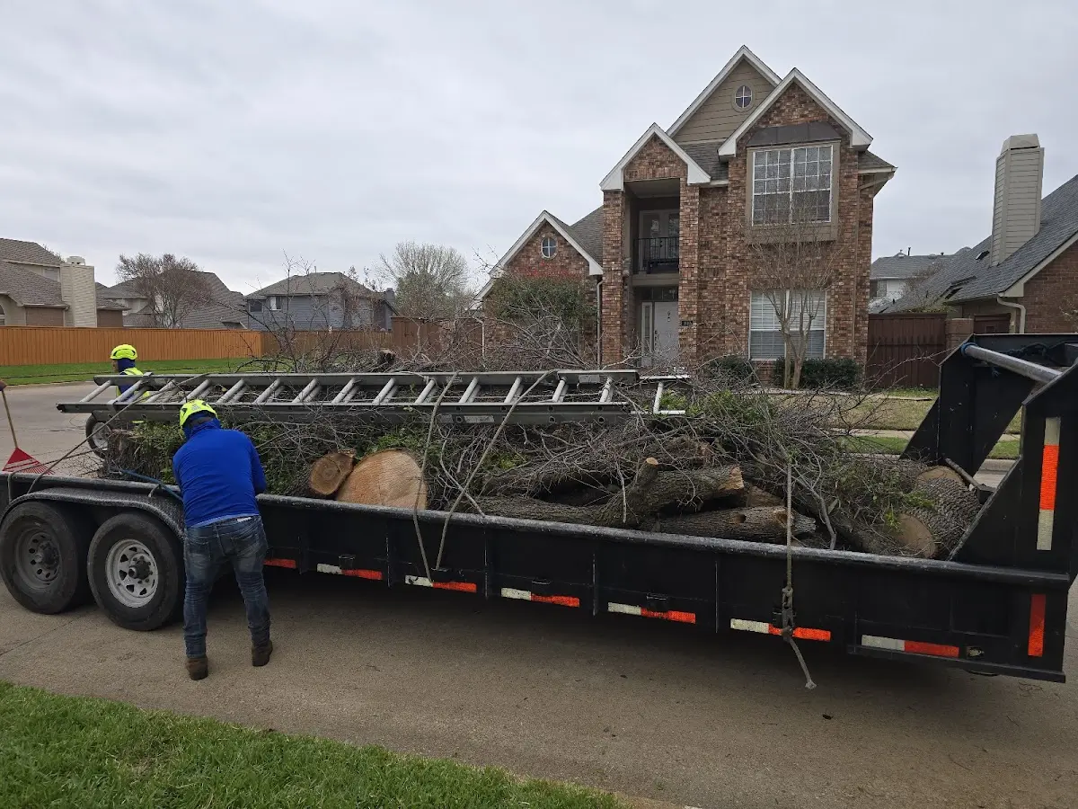Expert Lot Clearing with proper safety equipment in Sabinal